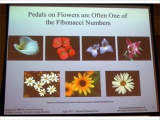 この門をくぐる者は一切の希望を捨てよ Agile 11 Feedback