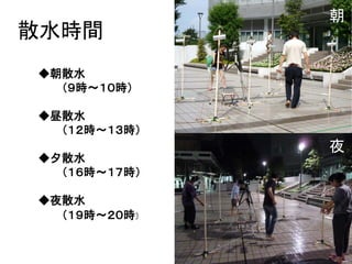 朝
散水時間
◆朝散水
  （９時～１０時）

◆昼散水
  （１２時～１３時）
              夜
◆夕散水
  （１６時～１７時）

◆夜散水
  （１９時～２０時）
 