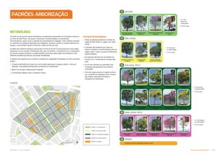 Subproduto 5.1: Pue Consolidado Diretrizes do Espaço Público  
Tibouchina Granulosa
(Quaresmeira)
Eugenia Involucrata DC
(Cerejeira)
Tibouchina Mutabilis
(Manacá-da-Serra)
Handroanthus Chrysotrichus
(Ipê-amarelo)
Handroanthus Avellanedae
(Ipê Roxo)
Cassia Ferruginea
(Canafístula)
Handroanthus Ochraceus
(Ipê-opa)
Lafoensia Pacari
(Dedaleiro)
Senna Macranthera
(Fedegoso)
Senna Multijuga
(Aleluia)
T3
T2
Lafoensia Pacari
(Dedaleiro)
Holocalyx Balansae
(Alecrim-de-Campinas)
Eugenia Involucrata DC
(Cerejeira)
Caesalpina Ferrea
(Pau Ferro)
Handroanthus Heptaphyllus
(Ipê Roxo)
Cariniana Estrellensis
(Jequitibá Branco)
T1
Erythrina Falcata
(Suinã)
Cassia Leptophylla
(Grinalda-de-Noiva)
Caesalpina Echinata
(Pau-Brasil)
Eugenia Uniflora
(Pitanga)
T4
Handroanthus Impetiginosus
(Ipê-roxo)
Erythrina Verna Vell
(Mulungu)
T5
METODOLOGIA
Compõe-se de árvores nativas brasileiras consideradas apropriadas às condições urbanas e
ao clima de São Paulo. Isto ajuda a maximizar a biodiversidade e os benefícios
microclimáticos, assim como a redução da necessidade de irrigação. Outro objetivo principal
é a melhoria do ambiente destinado aos pedestres, trazendo conforto e sombra adicional ao
espaço, o que também ajuda a melhorar o efeito de ilha de calor.
A paleta das espécies designa qual escala e forma de árvore é apropriada para cada região,
baseando-se nas funções e dimensões das ruas. No entanto, considerando-se a vasta gama
de árvores nativas do Brasil, o projeto também prevê que estas sejam encontradas a uma
distância razoável da área em que serão implantadas.
A relação das espécies que compõe os padrões de vegetação foi baseada nos três princípios
abaixo:
 Função proeminente de cada via e num sentido geral para o espaço público, como por
exemplo, ruas predominantemente comerciais ou residenciais;
 Baixo uso de água, dispensando irrigação;
 Contribuição estética para o ambiente urbano.
Principais Recomendações
 Todas as plantas deverão ser nativas da
região de São Paulo ou região com clima
similar;
 A seleção das espécies em cada rua
deverá considerar a biodiversidade total da
região, assim, cada rua possuirá diferentes
especificidades;
 As espécies deverão ser escolhidas de
acordo com o comprimento e largura das
ruas;
 As árvores deverão ser plantadas sob
condições que garantam sua saúde e
vivacidade;
 Terrenos vagos próximo à região da Nova
Luz poderão ser utilizados como viveiros
das mudas, buscando minimizar o
transporte de caminhões.
BULEVAR
ANEL VIÁRIO
PLANTIO
ZONA T1: Via Estrutural
ZONA T2: Mini-anel viário
ZONA T3: Prioritária Pedestre
ZONA T4: Via Secundária
ZONA T5: Praças
RUA LOCAL TIPO A
 6–8m altura
na maturidade
 5–6m copa
 6–8m altura
na maturidade
 5–6 m copa
 12–14m
altura na
maturidade
 8–10m copa
 10–12m altura
na maturidade
 8–10m copa
RUAS LOCAIS TIPO B
PRAÇAS
Qualquer tipo de vegetação listadas acima
PADRÕES: ARBORIZAÇÃO
 