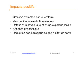 Impacts positifs

•    Création d’emplois sur le territoire
•    Valorisation locale de la ressource
•    Retour d’un savoir faire et d’une expertise locale
•    Bénéfice économique
•    Réduction des émissions de gaz à effet de serre




11/05/2011   www.betaprogramme.org   © quattrolibri 2011   11
 