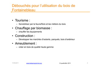 Débouchés pour l’utilisation du bois de
Fontainebleau

•  Tourisme :
      –  Sensibiliser par la faune/flore et les métiers du bois

•  Chauffage par biomasse :
      –  chauffer les équipements

•  Construction :
      –  Développer les marchés d’isolants, parquets, bois d’extérieur

•  Ameublement :
      –  créer en bois de qualité haute gamme




11/05/2011       www.betaprogramme.org                 © quattrolibri 2011   4
 