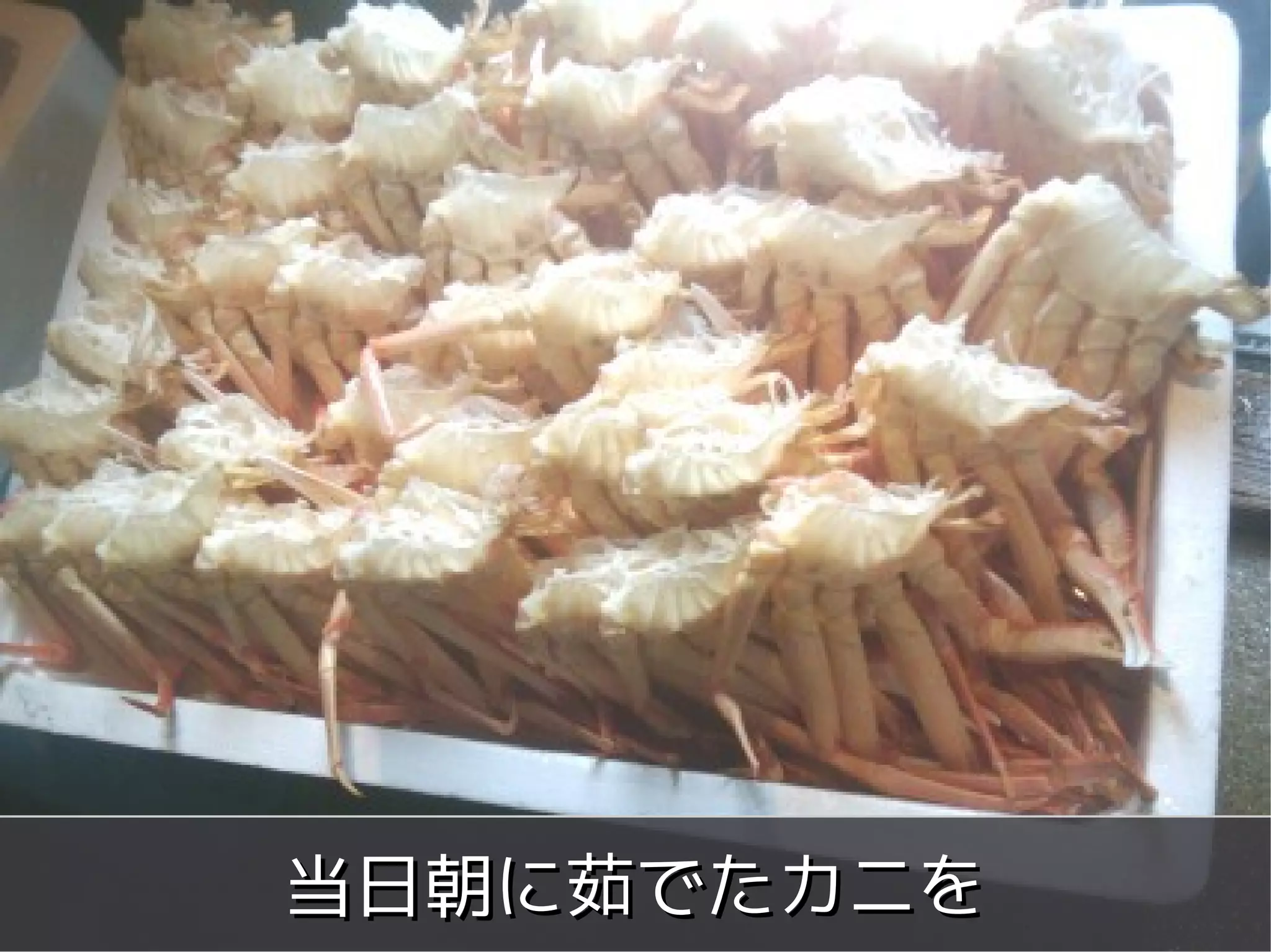 当日朝に茹でたカニを
   Copyright 2011 WordBench Fukui.
         Some rights reserved
 