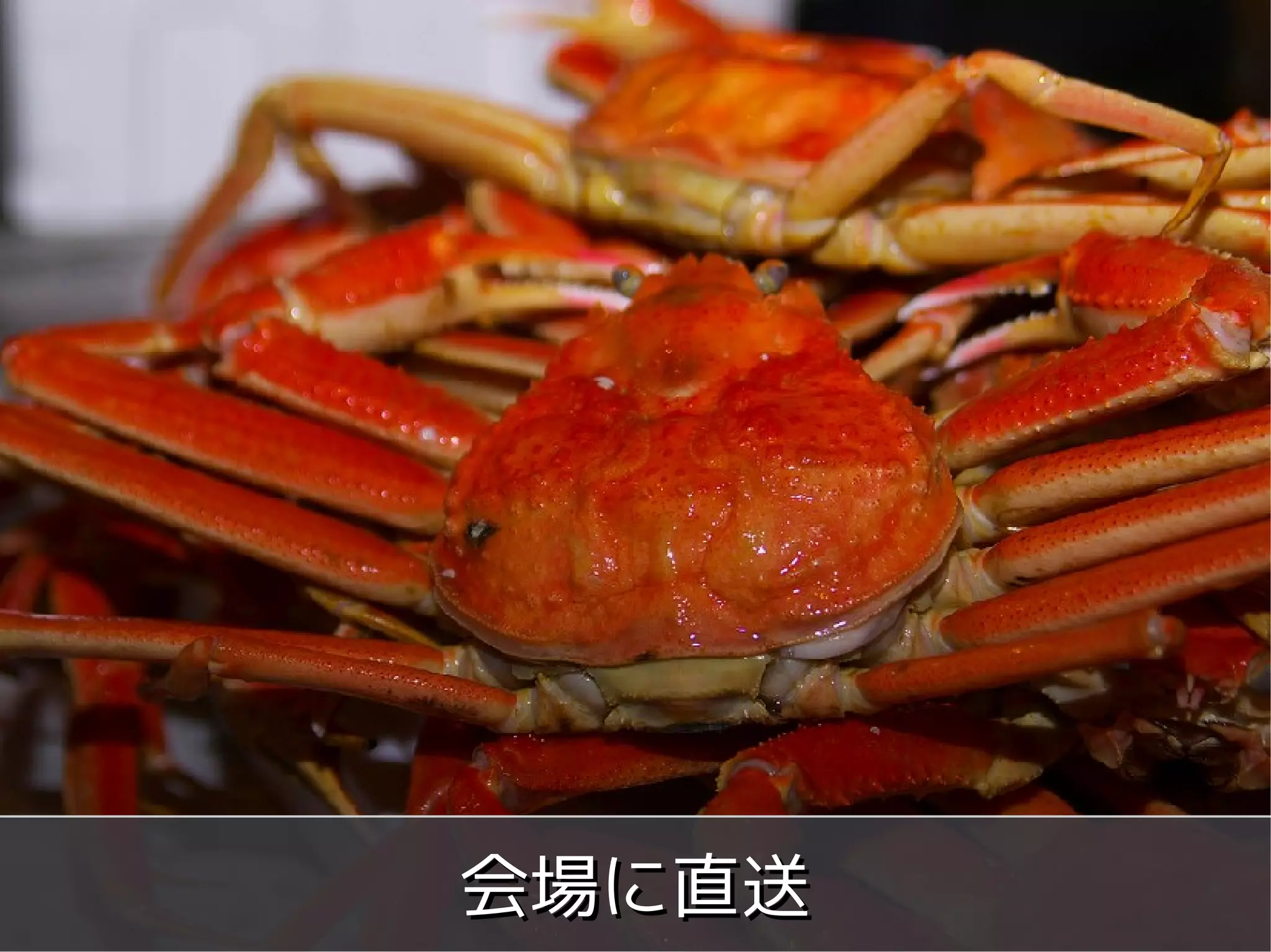 会場に直送
Copyright 2011 WordBench Fukui.
      Some rights reserved
 