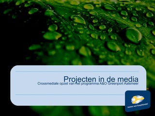 Crossmediale opzet van het programma A&O Greenport Aalsmeer Projecten in de media 
