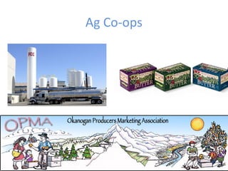 Ag Co-ops
 