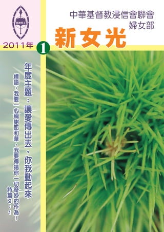 2011新女光(1)