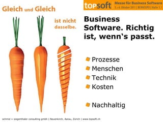 Kosten ERP20 verschiedene Lösungen für 1 ProjektQuelle: Thomas Widmer