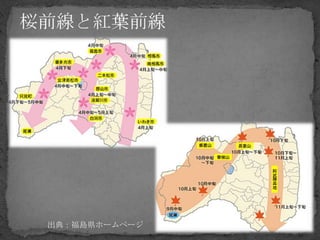 出典：福島県ホームページ
 