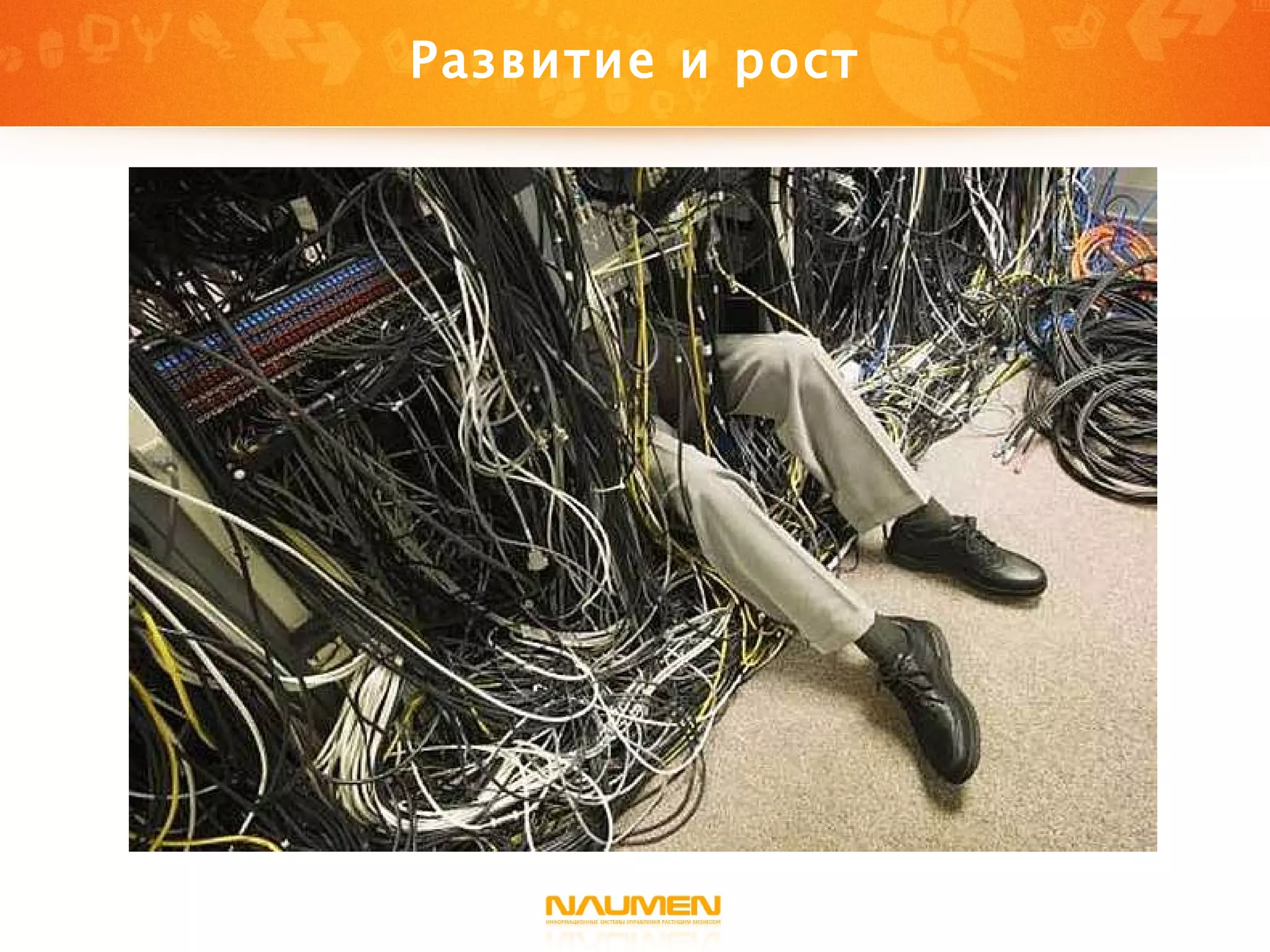 Развитие и рост 