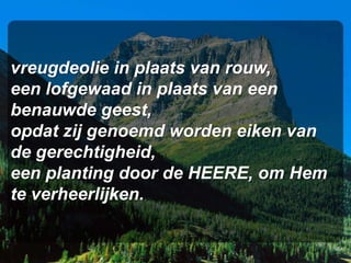 vreugdeolie in plaats van rouw,
een lofgewaad in plaats van een
benauwde geest,
opdat zij genoemd worden eiken van
de gerechtigheid,
een planting door de HEERE, om Hem
te verheerlijken.
 