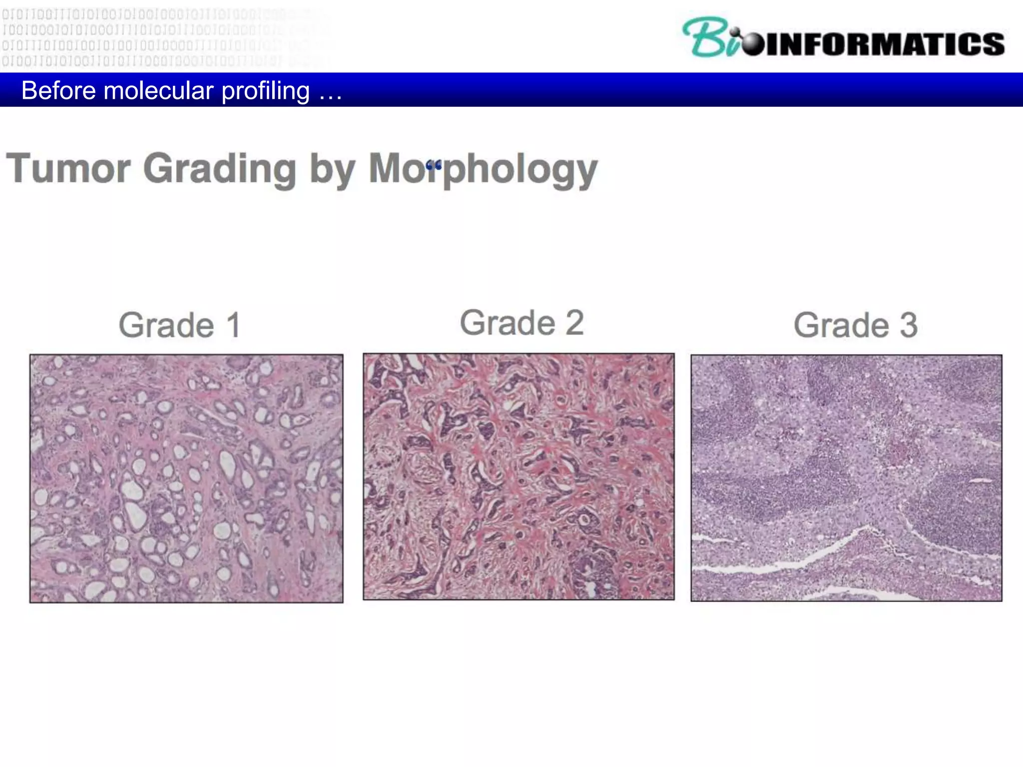 Before molecular profiling …
 