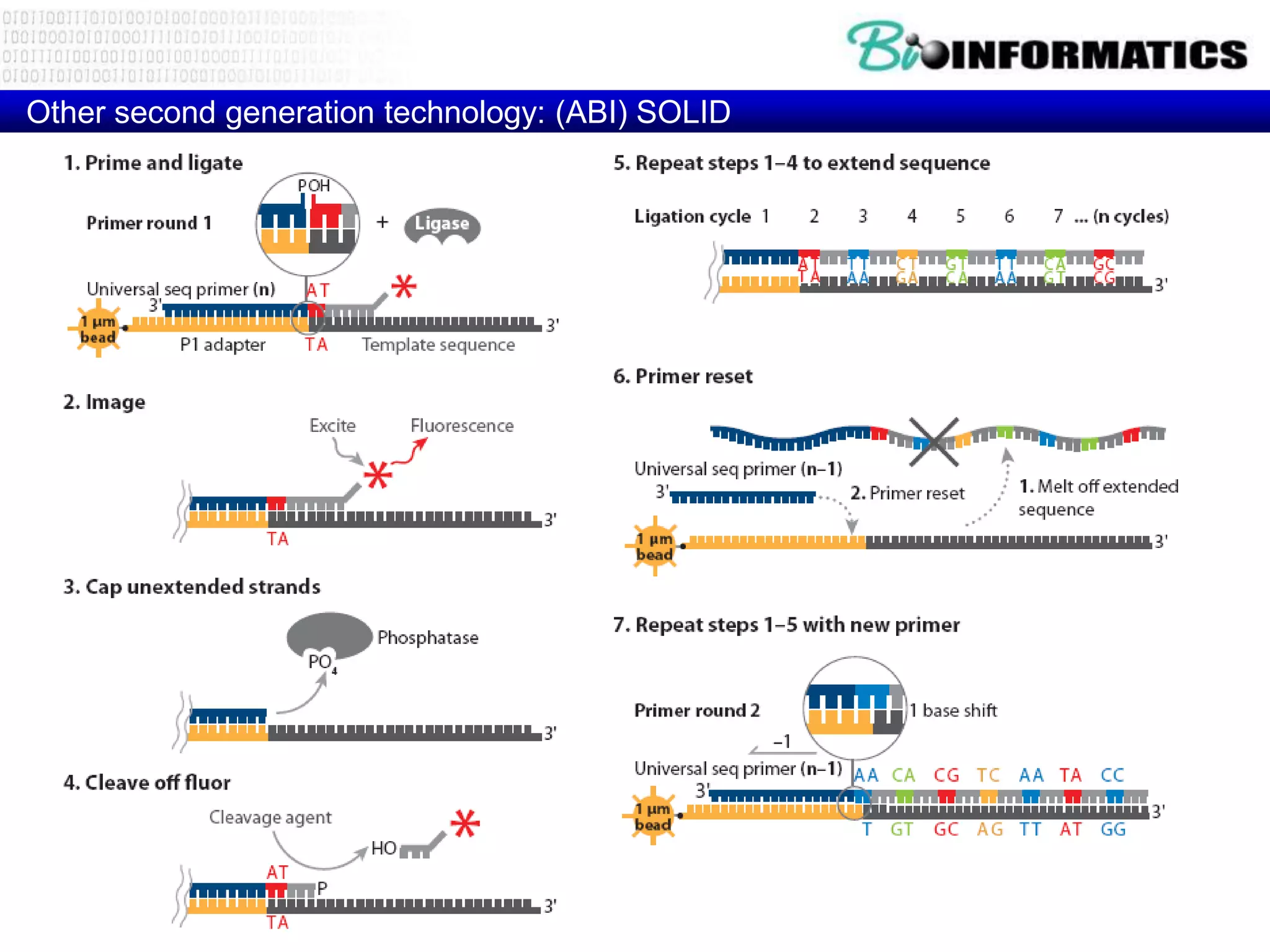 Other second generation technology: (ABI) SOLID
 