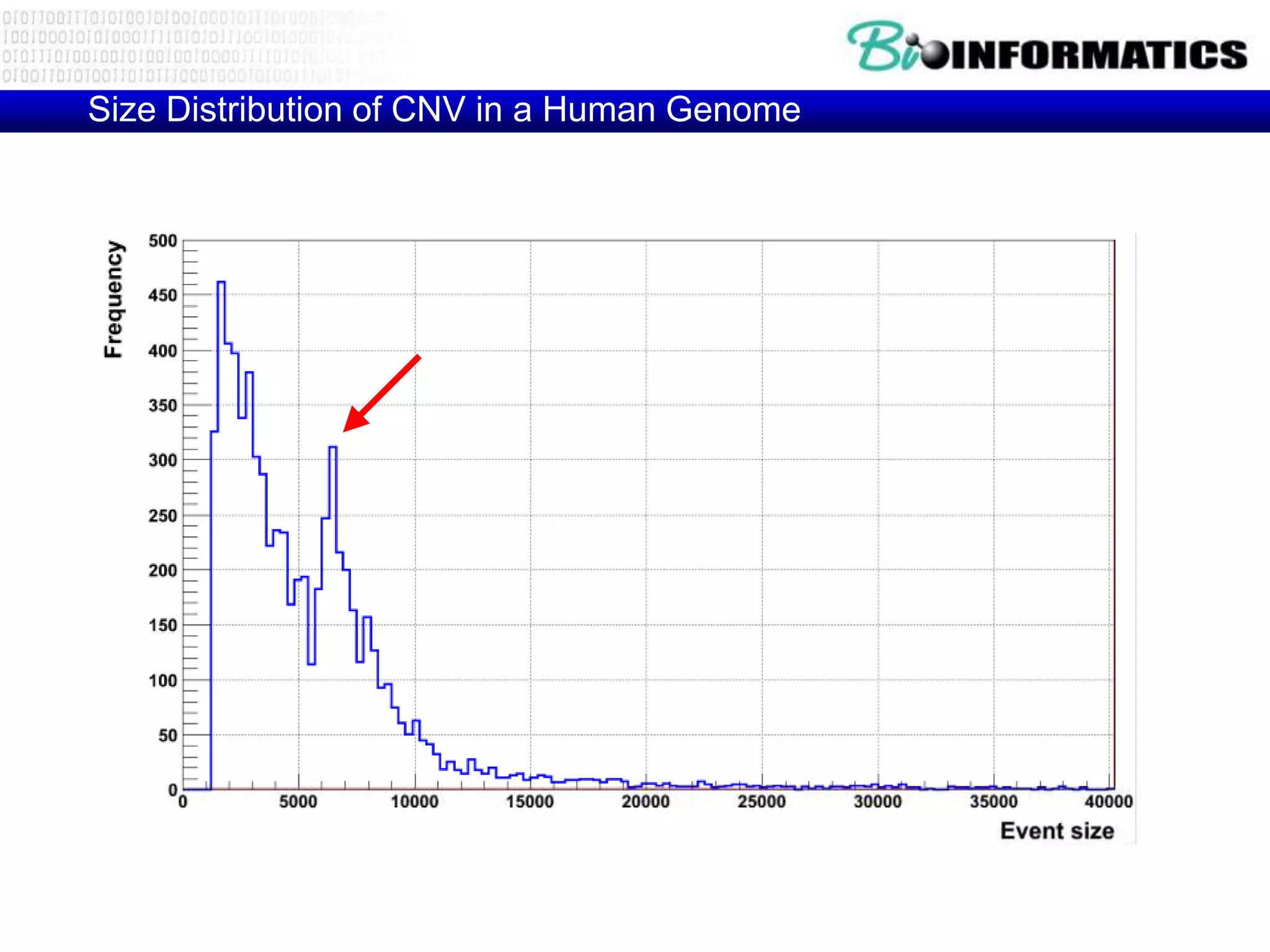 Size Distribution of CNV in a Human Genome
 