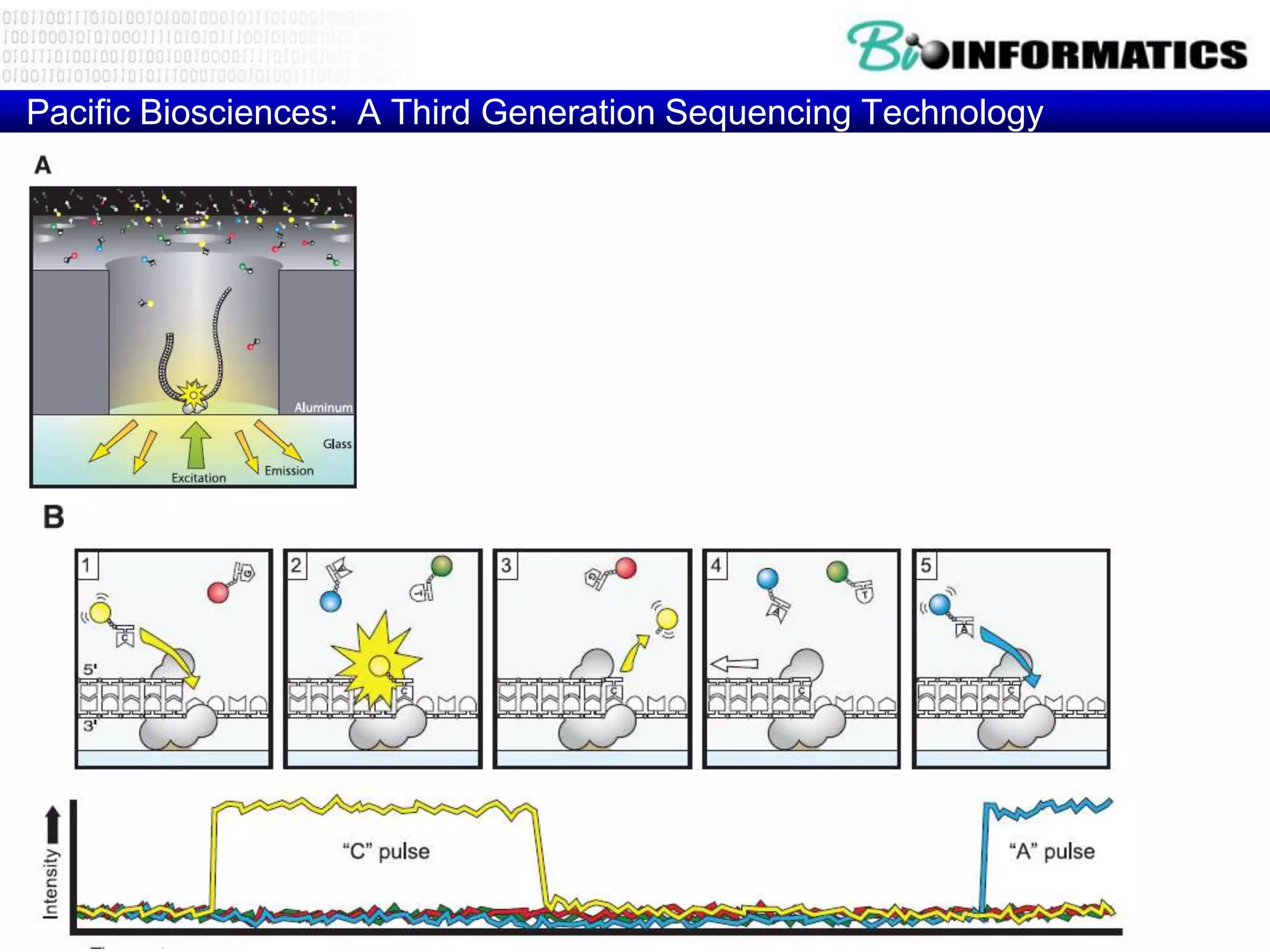 Pacific Biosciences: A Third Generation Sequencing Technology




                                                     Eid et al 2008
 