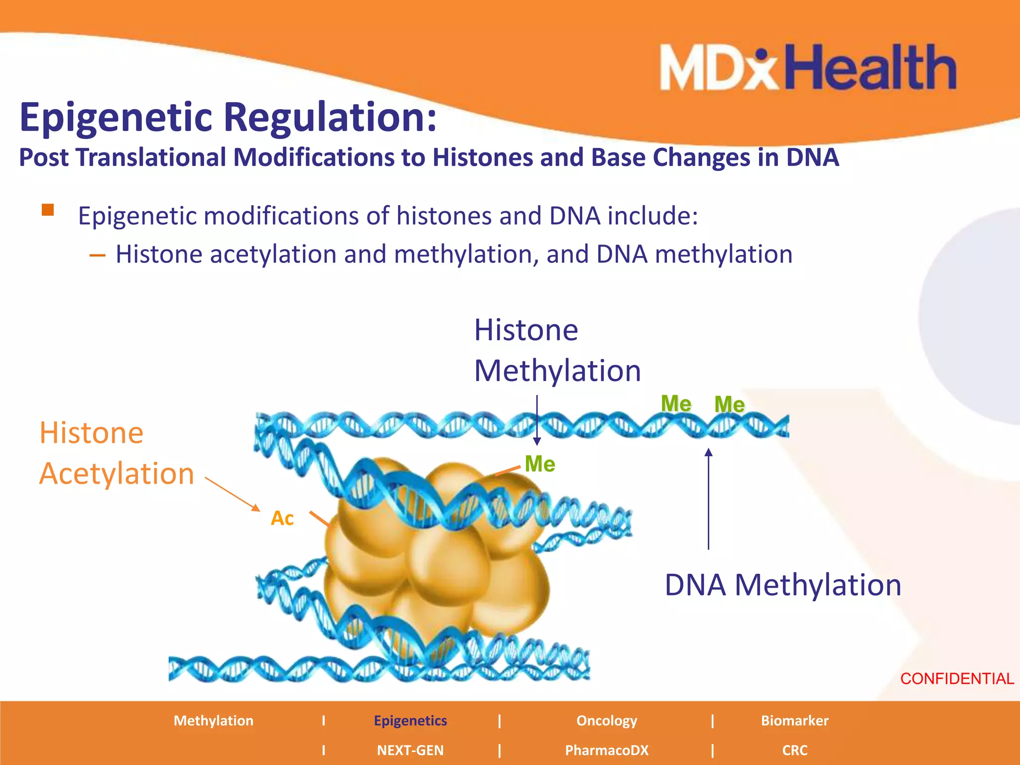 Epigenetic Regulation:
Post Translational Modifications to Histones and Base Changes in DNA

    Epigenetic modifications of histones and DNA include:
      – Histone acetylation and methylation, and DNA methylation

                                                 Histone
                                                 Methylation
                                                                        Me Me
 Histone
                                                      Me
 Acetylation
                          Ac


                                                                        DNA Methylation

                                                                                            CONFIDENTIAL

            Methylation        I   Epigenetics    |         Oncology      |     Biomarker
                               I   NEXT-GEN       |        PharmacoDX     |       CRC
 