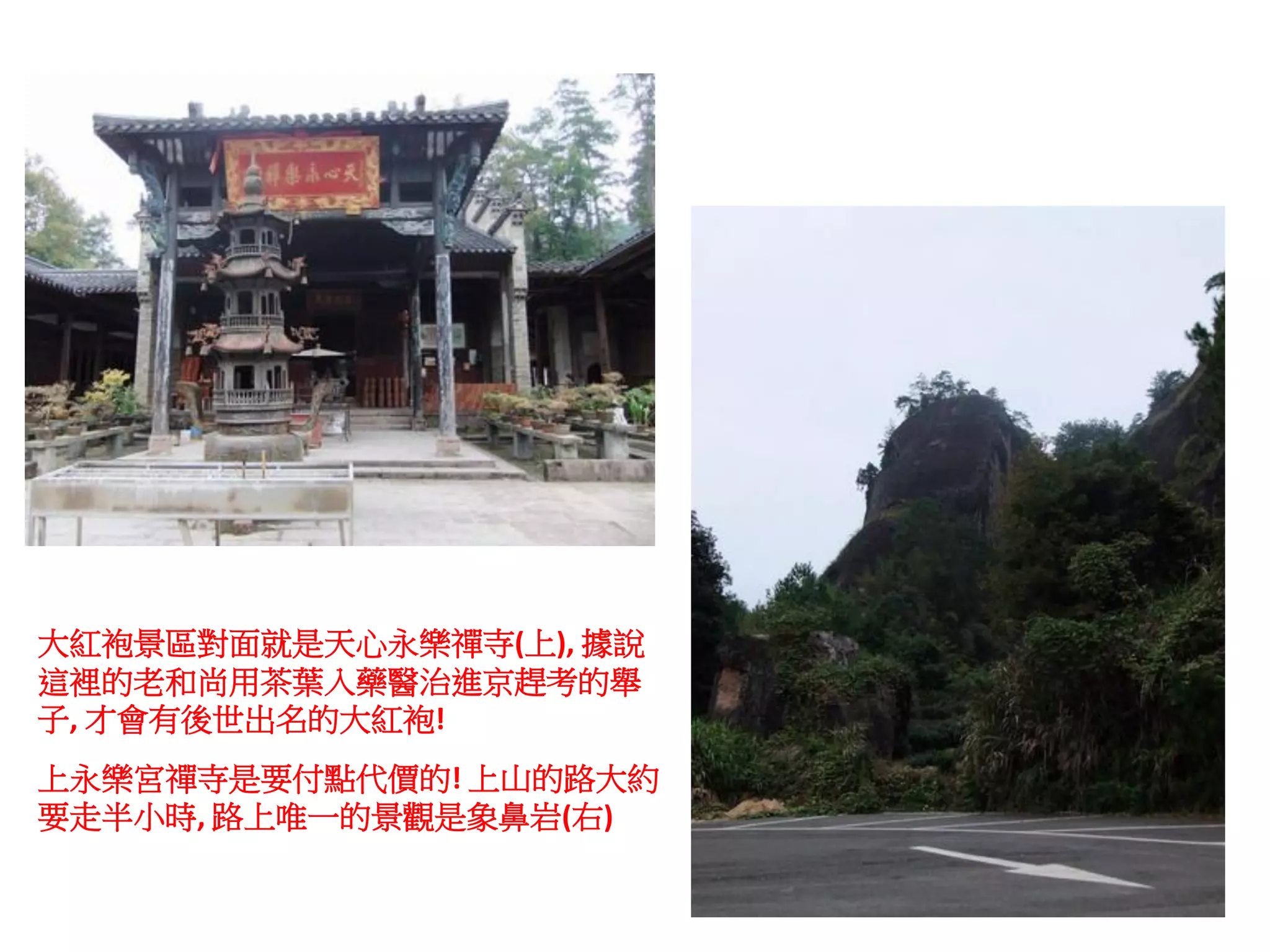 大紅袍景區對面就是天心永樂禪寺(上), 據說
這裡的老和尚用茶葉入藥醫治進京趕考的舉
子, 才會有後世出名的大紅袍!
上永樂宮禪寺是要付點代價的! 上山的路大約
要走半小時, 路上唯一的景觀是象鼻岩(右)
 