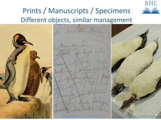 Prints / Manuscripts / Specimens Different objects, similar management http://www.flickr.com/photos/biodivlibrary/6257859557   http://www.flickr.com/photos/chrisfreeland/6018724034   http://www.biodiversitylibrary.org/page/34045915   