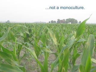 … not a monoculture. 