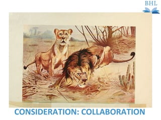 CONSIDERATION: COLLABORATION 