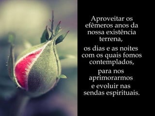 Aproveitar os efêmeros anos da nossa existência terrena,  os dias e as noites  com os quais fomos contemplados, para nos  aprimorarmos  e evoluir nas  sendas espirituais. 