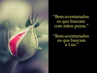 “ Bem-aventurados  os que buscam  com mãos puras.” “ Bem-aventurados  os que buscam a Luz.” 