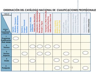 ORDENACIÓN DEL CATÁLOGO NACIONAL DE  CUALIFICACIONES PROFESIONALES Química Imagen Personal Sanidad Instalación y Mantenimiento Electricidad y Electrónica Energía y Agua Transporte y Mant Vehículos Industrias Extractivas  Edificación y Obra Civil Vidrio y Cerámic  Madera, Muey C Textil, Conf y Piel   Artes gráficas Imagen y Sonido Informática y Comunicaciones   Administración y Gestión Comercio y Marketing Servicios Socioculturales y a la Comunidad 1 Programas  Cualificación Prof  Inicial 2 Técnico 3 Técnico  Superior 4 Grado Agraria Marítimo- Pesquera Industrias Alimentarias 5 Postgrado FAMILIAS PROFESIONALES Hostelería y Turismo Actividades Físicas y Deportivas Artes y Artesanías   NIVELES  DE CUALIFICACION FORMACIÓN Seguridad y Medio Ambiente Fabricación Mecánica 