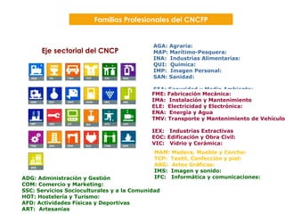             AGA: Agraria:  MAP: Marítimo-Pesquera:  INA:  Industrias Alimentarias:  QUI:  Química:  IMP:  Imagen Personal: SAN: Sanidad:    SEA: Seguridad y Medio Ambiente: FME: Fabricación Mecánica:  IMA:  Instalación y Mantenimiento ELE:  Electricidad y Electrónica:  ENA:  Energía y Agua TMV: Transporte y Mantenimiento de Vehículos  IEX:  Industrias Extractivas  EOC: Edificación y Obra Civil:  VIC:  Vidrio y Cerámica:   ADG: Administración y Gestión  COM: Comercio y Marketing:  SSC: Servicios Socioculturales y a la Comunidad HOT: Hostelería y Turismo:  AFD: Actividades Físicas y Deportivas  ART:  Artesanías MAM: Madera, Mueble y Corcho:  TCP:  Textil, Confección y piel:  ARG:  Artes Gráficas:  IMS:  Imagen y sonido:  IFC:  Informática y comunicaciones: Familias Profesionales del CNCFP Eje sectorial del CNCP 
