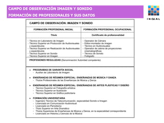 CAMPO DE OBSERVACIÓN IMAGEN Y SONIDO  FORMACIÓN DE PROFESIONALES Y SUS DATOS INCUAL 