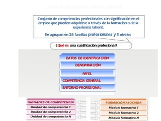 LA CUALIFICACIÓN  PROFESIONAL Conjunto de competencias profesionales con significación en el empleo que pueden adquirirse a través de la formación o de la experiencia laboral. Se agrupan en 26 familias  profesionales y  5 niveles   ¿ Qué es  una cualificación profesional? DENOMINACIÓN DATOS DE IDENTIFICACIÓN NIVEL COMPETENCIA GENERAL ENTORNO PROFESIONAL 