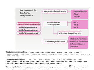 Realizaciones profesionales :  Describen los comportamientos esperados de la persona, objetivables por sus consecuencias o resultados, para poderla considerar competente en esa unidad.   Criterios de realización  expresan el nivel aceptable de la realización profesional para satisfacer los objetivos de las organizaciones productivas y, por tanto, constituyen una guía para la evaluación de la competencia profesional.   Contexto profesional:  define, con carácter orientador, los medios de producción, productos y resultados del trabajo, información utilizada o generada y cuantos elementos similares se consideren necesarios para enmarcar la realización profesional. CNCP 