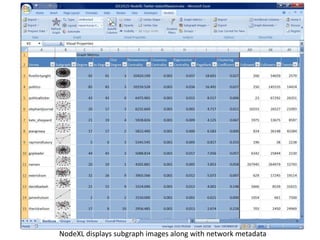 NodeXL displays subgraph images along with network metadata
 