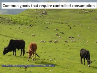 Common goods that require controlled consumption




http://flickr.com/photos/himalayan-trails/275941886/
 