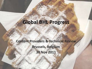 Global BHL Progress


Content Providers & Technical Review
         Brussels, Belgium
            30 Nov 2011
 