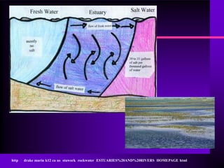 http   drake marin k12 ca us stuwork rockwater ESTUARIES%20AND%20RIVERS HOMEPAGE html
 