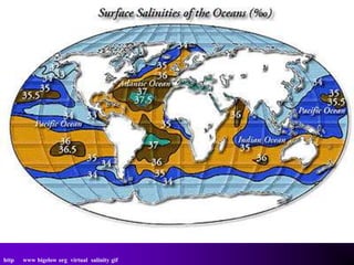http   www bigelow org virtual salinity gif
 