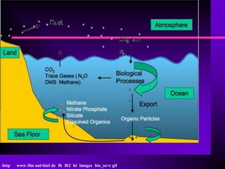 http   www ifm uni-kiel de fb fb2 bi images bio_oz-e gif
 