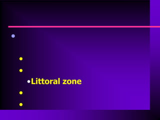 •

    •
    •
        •Littoral zone
    •
    •
 