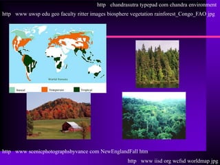 http chandrasutra typepad com chandra environment
http www uwsp edu geo faculty ritter images biosphere vegetation rainforest_Congo_FAO jpg




http www scenicphotographsbyvance com NewEnglandFall htm
                                                    http www iisd org wcfsd worldmap jpg
 