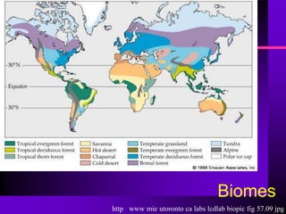 Biomes
http www mie utoronto ca labs lcdlab biopic fig 57.09 jpg
 