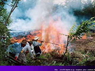 http   www5b biglobe ne jp ~kaiphoto place yakihata JP
 