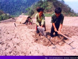 http   www uni-hohenheim de ~kirchman bodenrecht ht
 