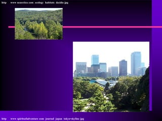 http   www nearctica com ecology habitats decidu jpg




http   www spiritsofadventure com journal japan tokyo-skyline jpg
 