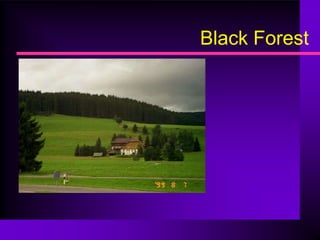 Black Forest
 