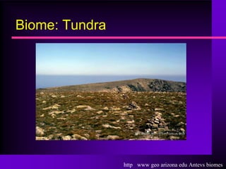Biome: Tundra




                http www geo arizona edu Antevs biomes
 