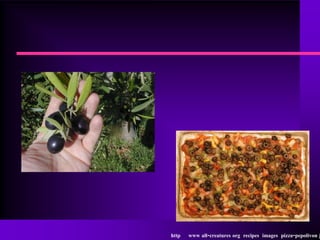 http   www all-creatures org recipes images pizza-pepolivon j
 