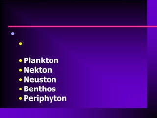 •
    •

    • Plankton
    • Nekton
    • Neuston
    • Benthos
    • Periphyton
 