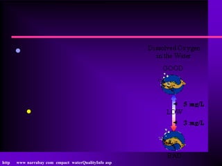 •



           •



http   www narrabay com empact waterQualityInfo asp
 