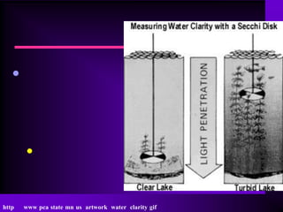 •



       •


http   www pca state mn us artwork water clarity gif
 