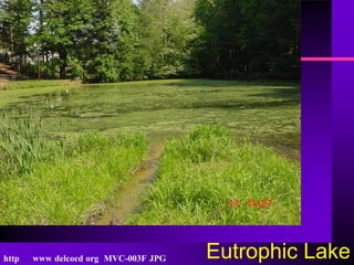http   www delcocd org MVC-003F JPG   Eutrophic Lake
 