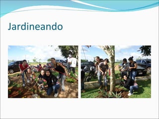 Jardineando
 